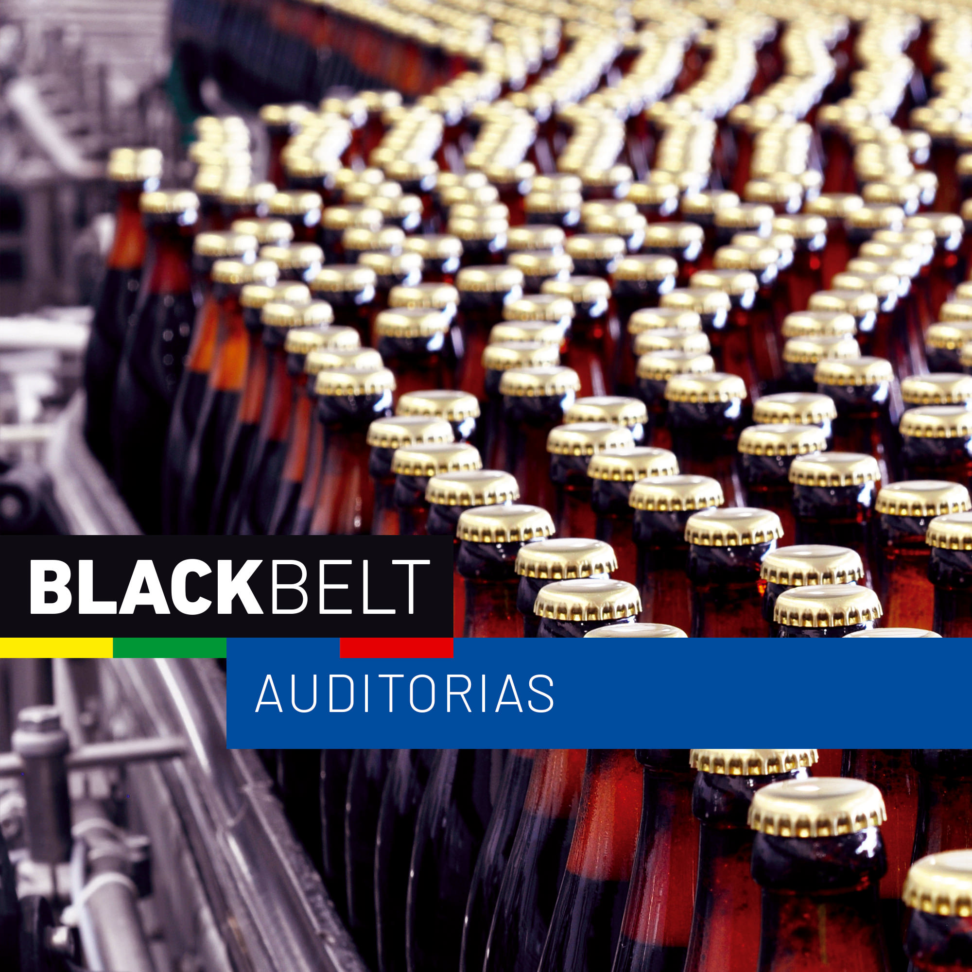 BlackBelt Engineered Inspections Auditorías
