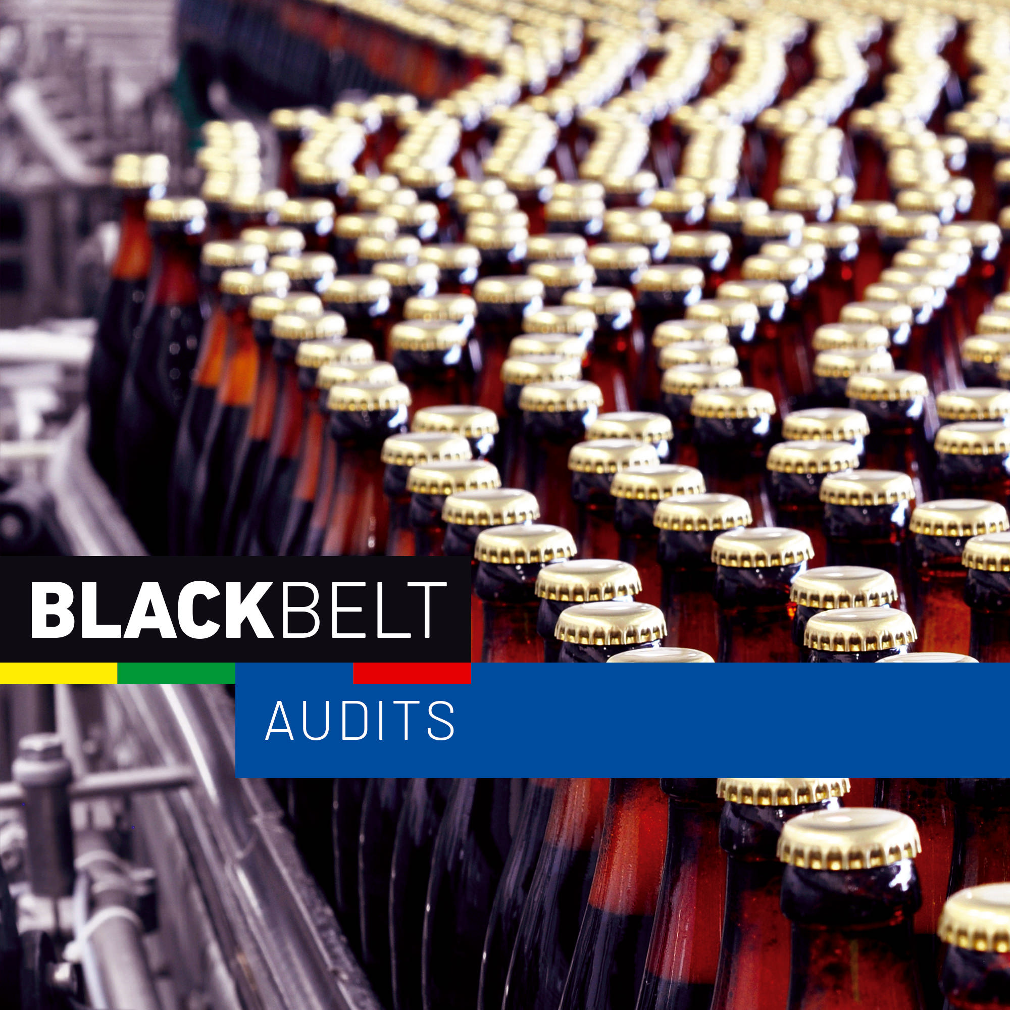 BlackBelt Engineered Inspections Audits