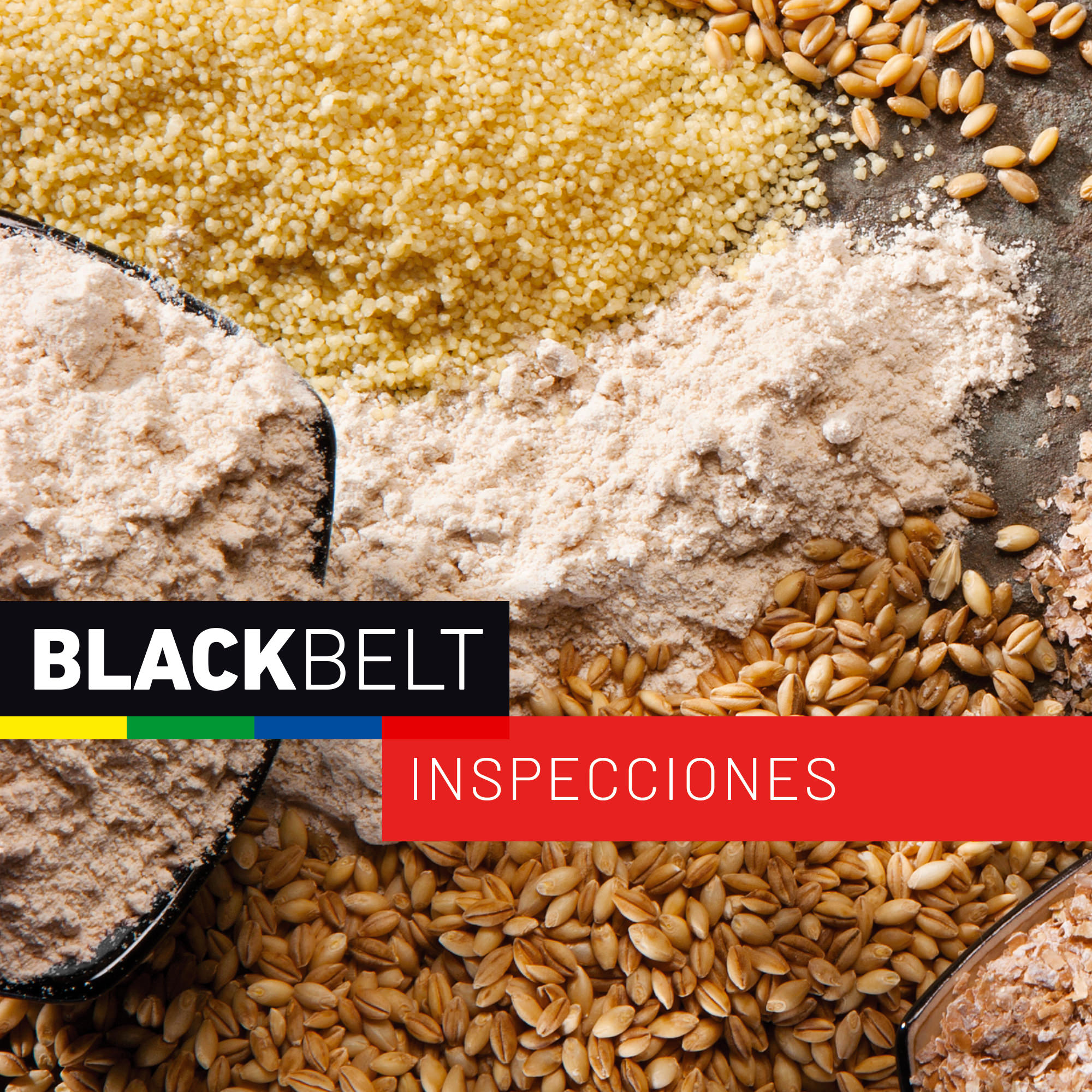 BlackBelt Engineered Inspections Inspecciones