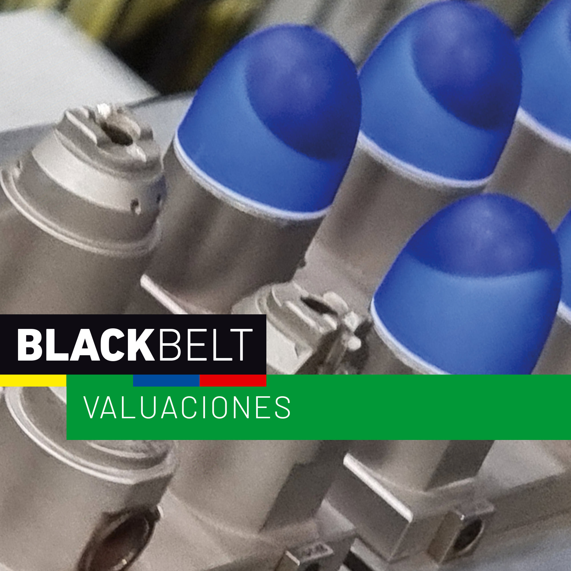 BlackBelt Engineered Inspections Valuaciones